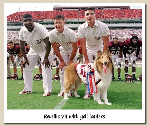 lassie and the boys