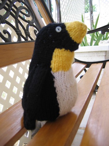 pasha the penguin