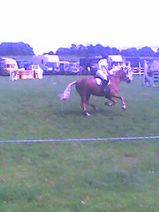 show-jumping