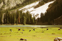 Pastures by Lake Mahdund