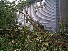 windstorm-treedown2-3