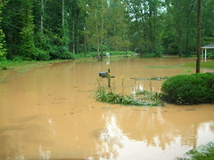 Fairfield Flood