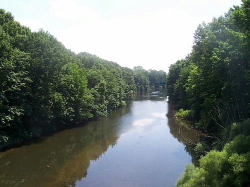 bronx river