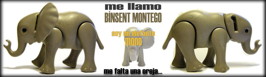00 - binsent-montego-2