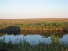 Marshes on the way to Cedar Island, NC