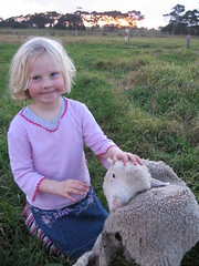 Mary & her little lamb