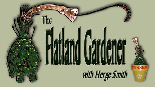 The Flatland Gardener
