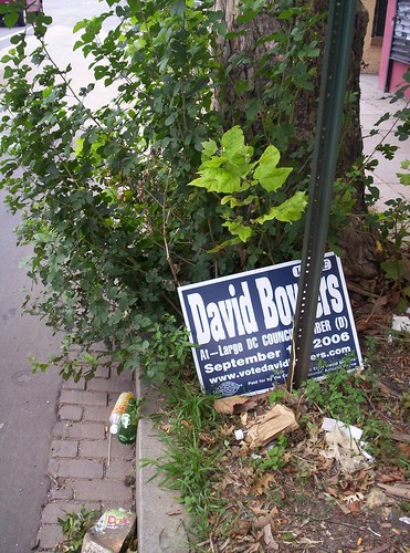 A Vote for Me is a Vote for City Beautification