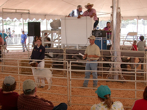 Junior Livestock Auction