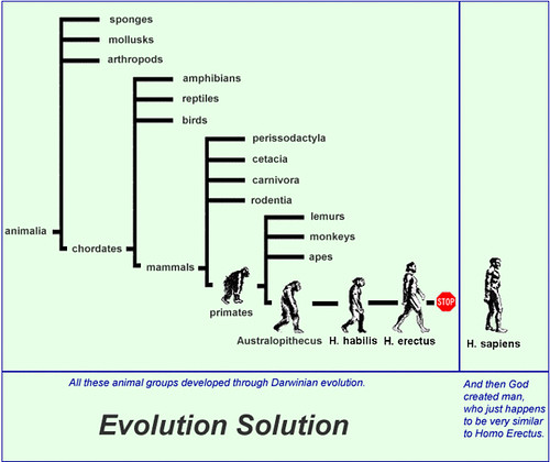 Evolution made to work with creationism.
