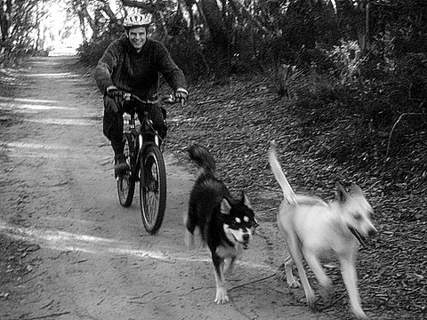 bike dogging 01