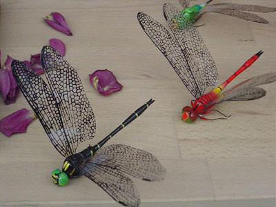 libellules