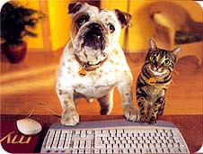 dog_and_cat