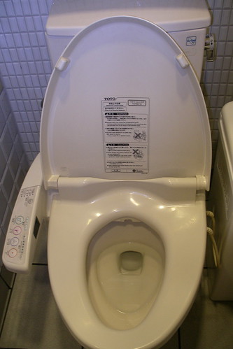 the toilet that assaulted me!