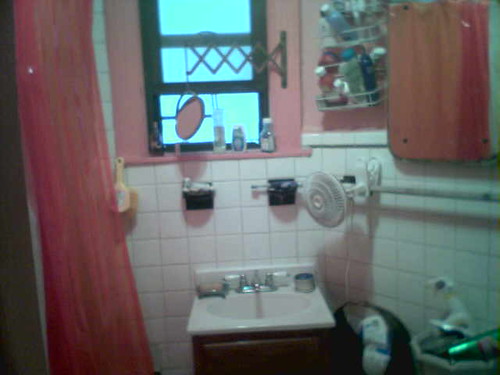 bklyn bathroom
