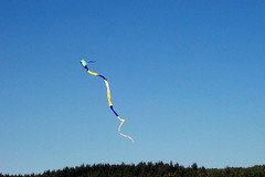 Long Kite